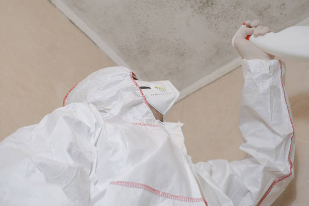 Best Biohazard Mold Removal  in Boise City, OK